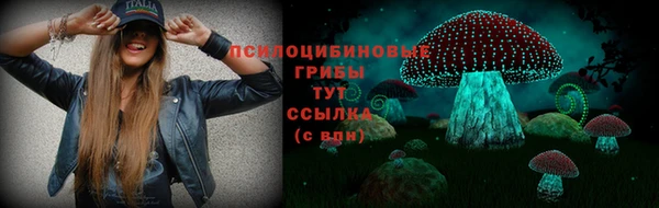 стафф Лихославль