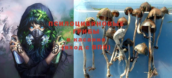 гидра Алексеевка