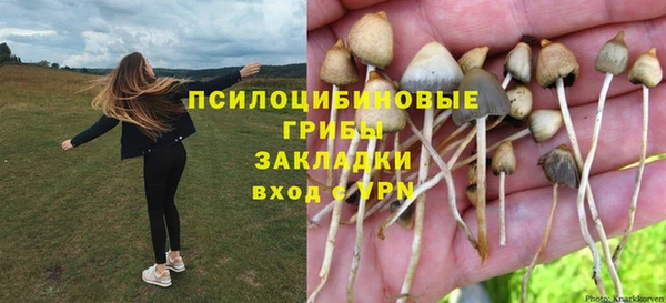 гидра Алексеевка