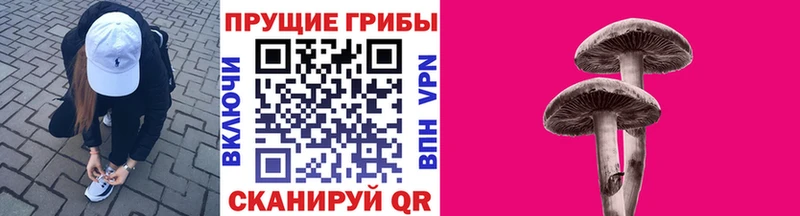 где купить наркоту  kraken зеркало  Псилоцибиновые грибы мицелий  Северодвинск 